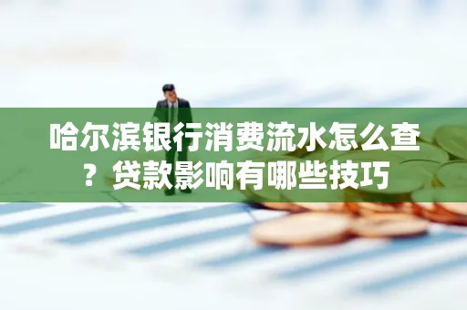 哈尔滨银行消费流水怎么查?贷款影响有哪些技巧